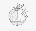 Polishers, Rubbers, Peelers, Cleaning Vegetables — UNI-MASZ application category illustration