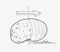 Rubbers — UNI-MASZ application category illustration