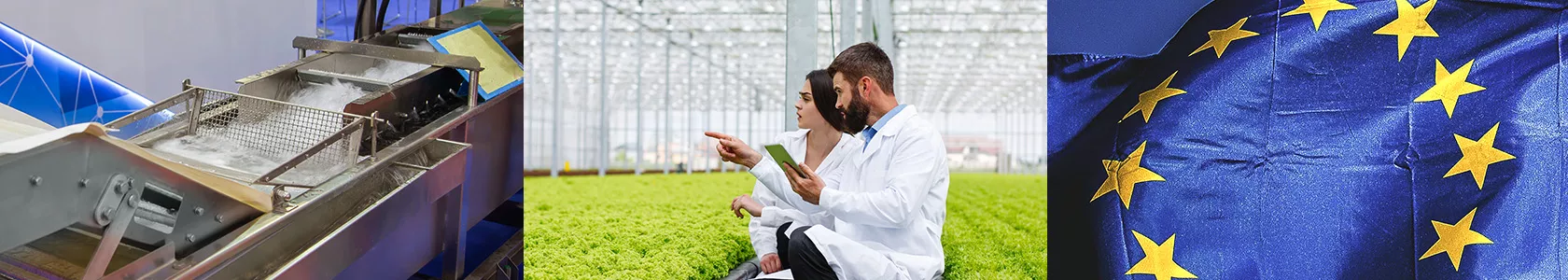 Machinery, agri-food production and European market context
